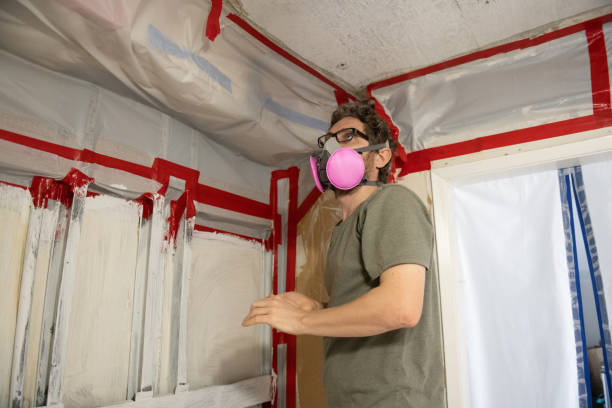 Professional Mold Removal in Virden, IL